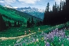 Whistler, Colombie-Britannique